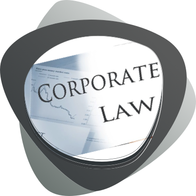 Naqvi & Co. Corporate law